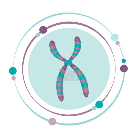 Ilustración de Cromosoma ADN genoma ciencias vector ilustración gráfico icono - Imagen libre de derechos