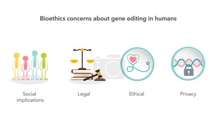 Ilustración de Bioética de la edición de genes en humanos vector ilustración infografía - Imagen libre de derechos