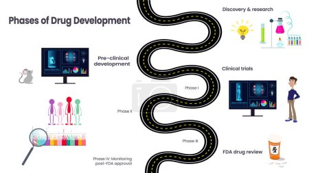 Illustration for The different phases of drug development - Royalty Free Image