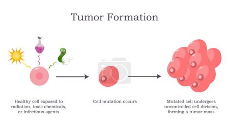 Ilustración de Formación de tumores a partir de células mutadas ilustración de vectores científicos - Imagen libre de derechos