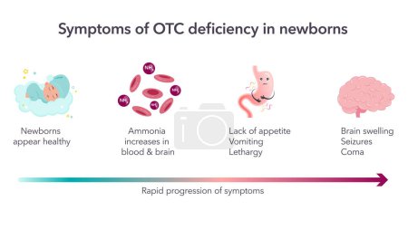 Ilustración de Síntomas de deficiencia de OTC en recién nacidos vector ilustración infografía - Imagen libre de derechos