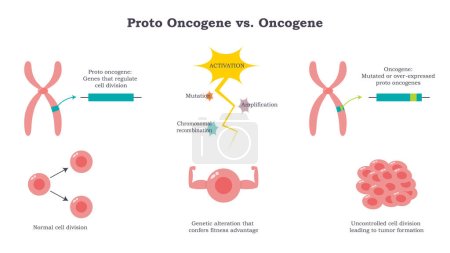 Ilustración de Proto oncogene versus oncogene vector ilustración diagrama - Imagen libre de derechos