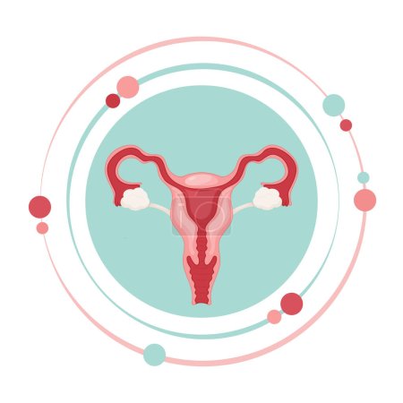 Female reproductive system graphic icon symbol