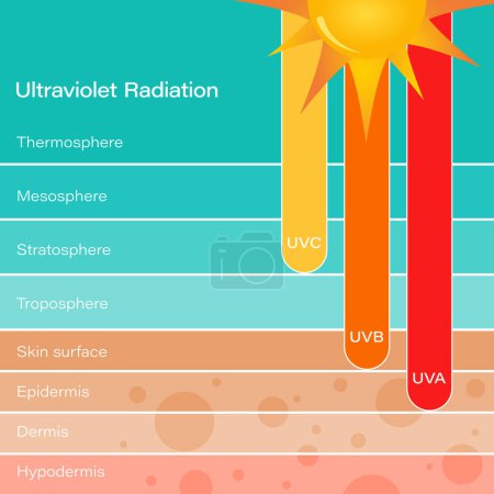 Illustration for Ultraviolet UV radiation and the effect on human skin science vector illustration graphic - Royalty Free Image