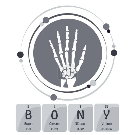Bony esquelético mano rayos X ciencia temática vector ilustración gráfica