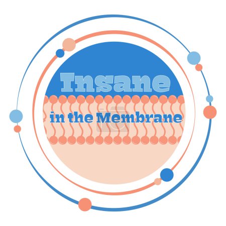 Illustration for Insane in the membrane science themed nerdy tee shirt design - Royalty Free Image