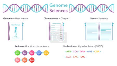Illustration vectorielle pédagogique des sciences génomiques analogie graphique avec le manuel ou le livre de l'utilisateur