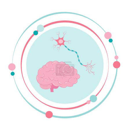 Neuron and brain neurology vector illustration graphic icon symbol