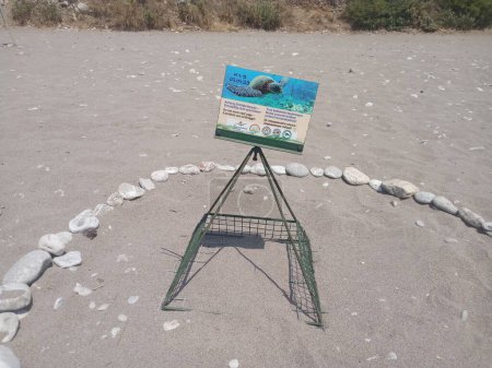 Foto de Zona de desove de tortugas en la playa. Valle de Kabak - Imagen libre de derechos