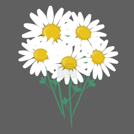 Ilustración de Hermosas flores de margarita, ilustración vectorial aislada, sin costuras - Imagen libre de derechos