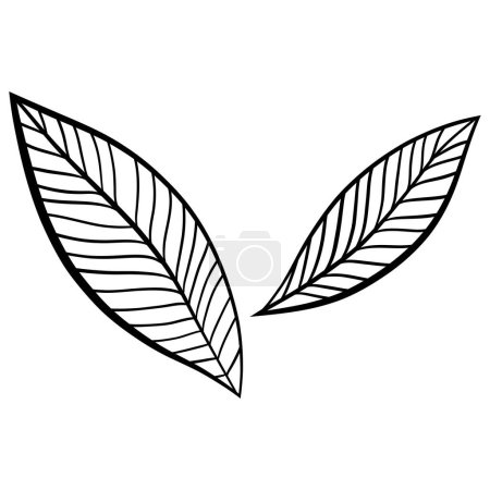 isolated leaf design vector