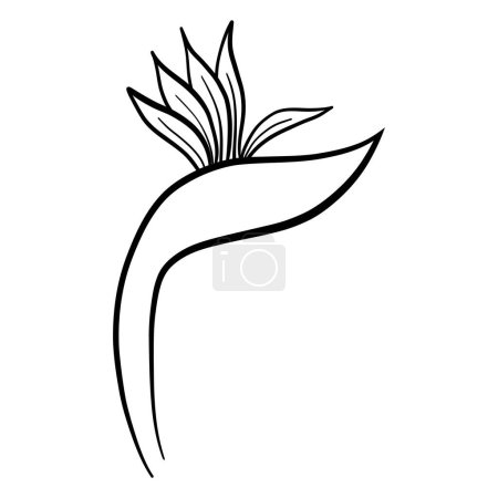 Ilustración de Flor y hoja icono de la naturaleza. estilo de línea. tema floral y hoja. diseño aislado - Imagen libre de derechos
