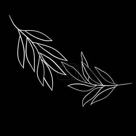 vector illustration, leaf silhouette, tree, floral design, black background