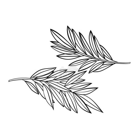 hand drawn vector sketch of branch with leaves.