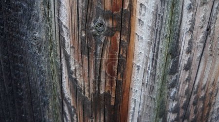 Téléchargez les photos : Vieilles planches en bois texture de fond - en image libre de droit