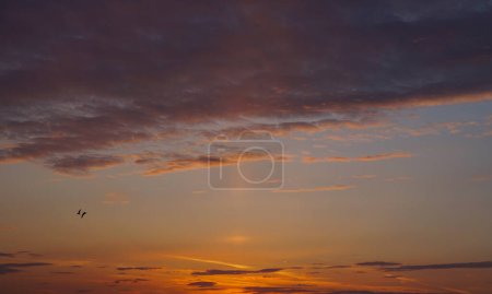 Foto de Atardecer amanecer cielo fondo con nubes dramáticas y aves volando - Imagen libre de derechos
