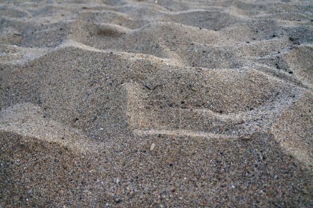 Photo for Sand texture. Close up sand texture on beach in summer. - Royalty Free Image