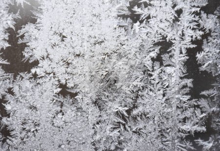 Photo for Frost on the window, natural pattern. Frozen particles on a window glass. Different ice crystals texture background. High quality photo - Royalty Free Image