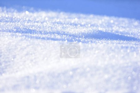 Photo for White snow closeup. Fluffy snow texture. Winter background with fresh snow . High quality photo - Royalty Free Image