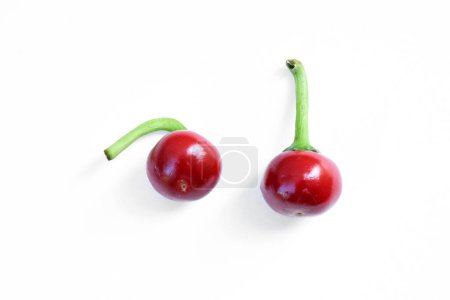Téléchargez les photos : Poivrons cerises isolés sur fond blanc. Red cherry chili peppers vue de côté et vue de dessus. Photo de haute qualité - en image libre de droit