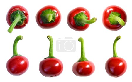 Téléchargez les photos : Poivrons cerises isolés sur fond blanc. Red cherry chili peppers vue de côté et vue de dessus. Photo de haute qualité - en image libre de droit