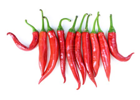 Photo for Hot peppers isolated on white background, top view, in line. Cayenne pepper, Anaheim Pepper, long red peppers isolated. Horizontal row of hot spicy peppers - Royalty Free Image