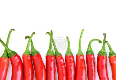 Photo for Hot peppers bottom border isolated on white background, top view, in line. Cayenne pepper, Anaheim Pepper, long red peppers isolated. Horizontal row of hot spicy peppers. - Royalty Free Image