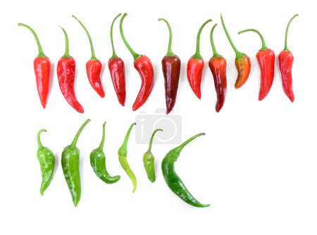Photo for Red and green hot peppers arranged in line. Many hot chili peppers on white background. Horizontal rows of hot peppers. - Royalty Free Image