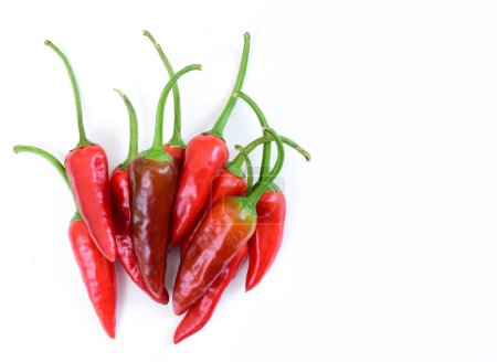 Photo for Pile of hot peppers with space for text. Different red hot chili peppers isolated on white background. Small red hot peppers - Royalty Free Image