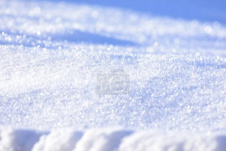 Photo for White snow closeup. Fluffy snow texture. Winter background with fresh snow . High quality photo - Royalty Free Image