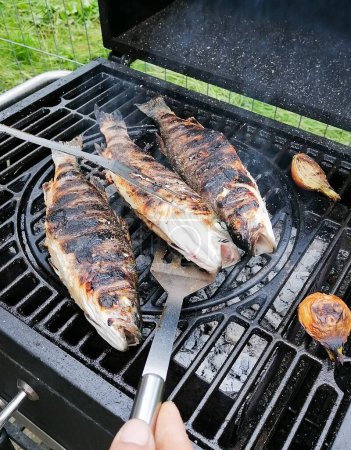 Trout fish on the grill cooking over hot wood fire. Top view. Overcooked trout fish on grill. Family weekend barbeque 