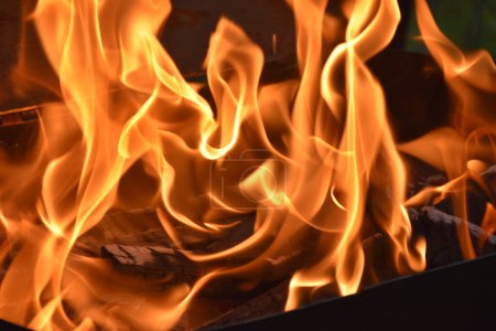 Photo for Fire flames close up on black background. Fire on dark background. High quality photo - Royalty Free Image