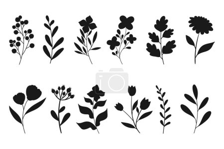 Téléchargez les illustrations : Ensemble de silhouettes de feuilles, fleurs et branches. Plantes sauvages et fleurs de jardin silhouettes sur fond blanc. Illustration vectorielle - en licence libre de droit