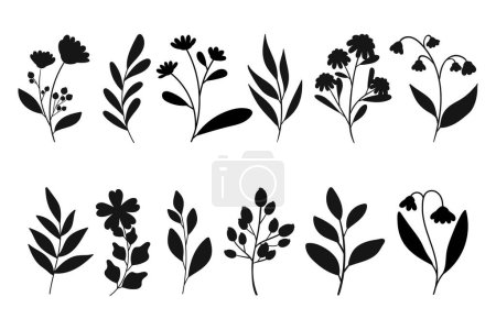 Ilustración de Conjunto de hojas, flores y siluetas de ramas. Plantas silvestres y flores de jardín siluetas sobre fondo blanco. Ilustración vectorial - Imagen libre de derechos