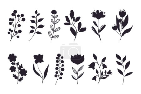 Ilustración de Conjunto de hojas, flores y siluetas de ramas. Plantas silvestres y flores de jardín siluetas sobre fondo blanco. Ilustración vectorial - Imagen libre de derechos