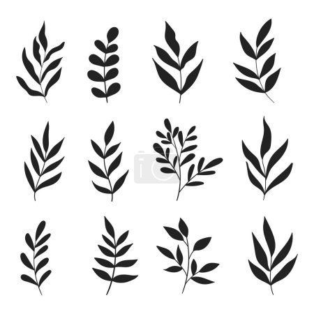 Photo for Leaves and branches silhouettes set. Wild plants and garden leaves silhouettes on white background. Vector illustration - Royalty Free Image