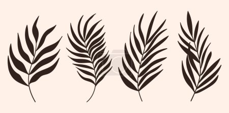 Téléchargez les illustrations : Silhouettes de feuilles de palmier isolées sur fond blanc. Feuilles de palmier d'été silhouettes - en licence libre de droit