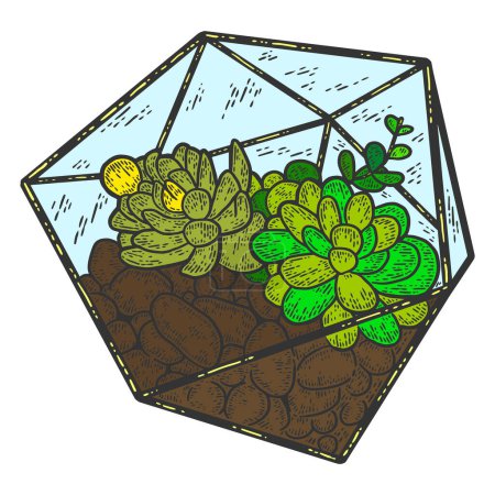 Photo for Succulent plant, glass florarium vase. Engraving raster color illustration. - Royalty Free Image