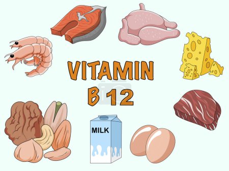 Photo for Infographics Vitamin B12. Products containing vitamin. Daily norm. Symptoms of deficiency. Raster medical poster. - Royalty Free Image