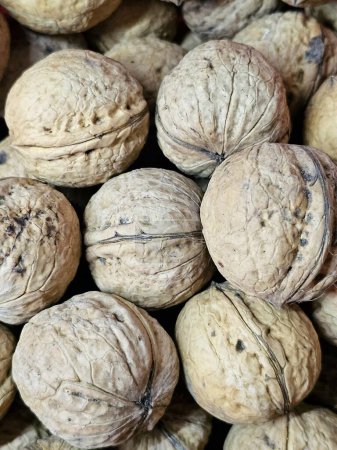 Photo for Walnuts in the market - Royalty Free Image