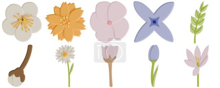 Eine Reihe von Blume isoliert auf einem weißen Hintergrund in einem netten Dekorationsschaum Kunststil Frühling florales Konzept, 3D-Illustration