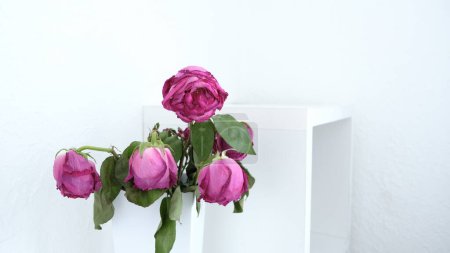 Téléchargez les photos : Withered roses standing in a vase - en image libre de droit