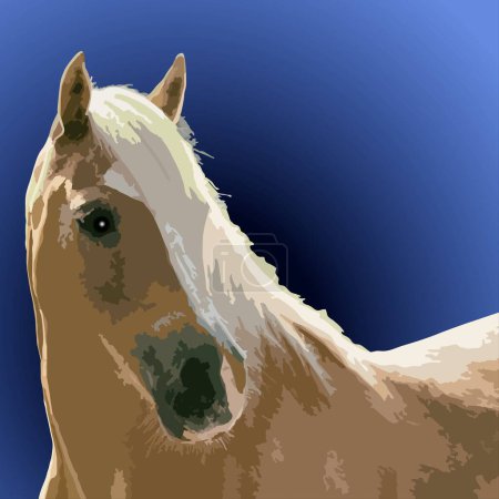 Téléchargez les photos : Portrait de cheval sur fond bleu foncé. Illustration vectorielle pour votre design - en image libre de droit