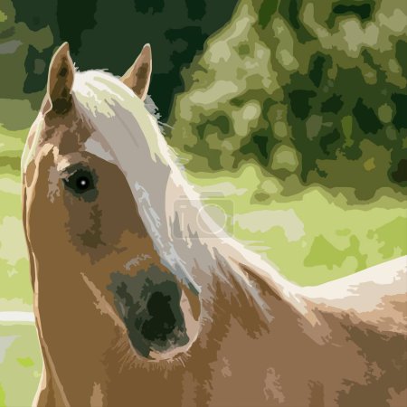 Cheval dans le champ. Illustration vectorielle d'un cheval sur le terrain.
