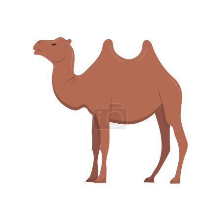 Téléchargez les illustrations : Arab camel in full size. A mammal, an animal with hooves and two humps. Isolated vector illustration. - en licence libre de droit