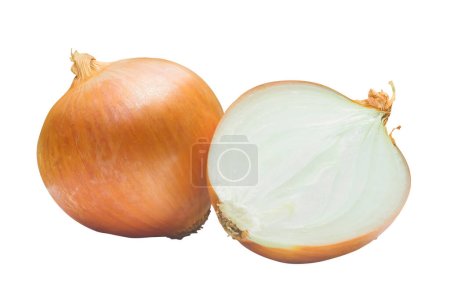 Foto de One fresh golden onion bulb with half or slice is isolated on white background with clipping path. Concept of healthy vegetable or food - Imagen libre de derechos
