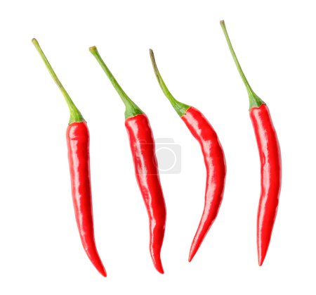Top view set of red chili peppers or cayenne pepper is isolated on white background with clipping path.