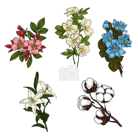 Reihe gezeichneter farbiger Blumen. Zeichentrickskizze auf weißem Hintergrund