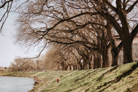 Foto de Bare trees on the bank of the river and a little boy in the red jacket in the city park. - Imagen libre de derechos