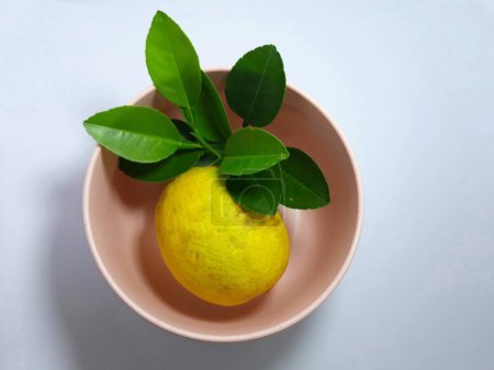 Foto de Primer plano aislado sobre lima blanca Citrus aurantiifolia fruta y hoja. cortar el espacio hierba, especias e ingredientes - Imagen libre de derechos